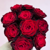 BlackGold Rose丨Flower Gardens