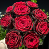 BlackGold Rose plant丨Flower Gardens