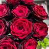 BlackGold Rose丨Flower Gardens
