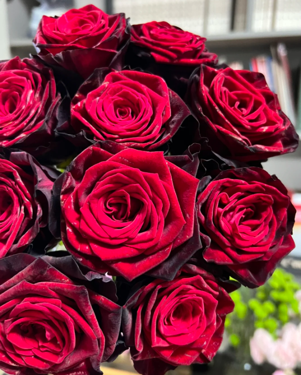 BlackGold Rose丨Flower Gardens