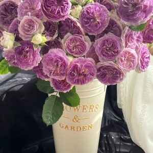 Blue Moon Stone Rose for sale丨Flower Gardens