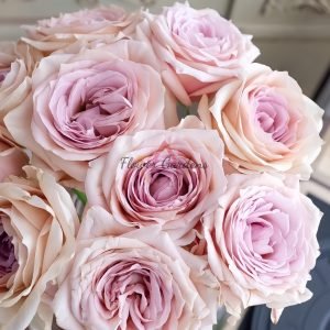 Brut Rose for sale丨Flower Gardens