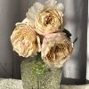 Charlotte Perriand Rose丨Flower Gardens