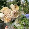 Charlotte Perriand Rose丨Flower Gardens