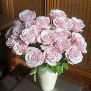 Cosette Rose丨Flower Gardens