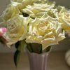 Elina Rose丨Flower Gardens
