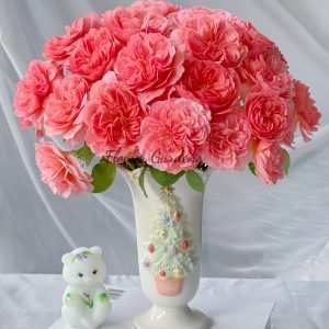 Kaori Kazari Rose丨Flower Gardens