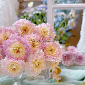 Listen Rose丨Flower Gardens