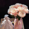 Loulan Rose丨Flower Gardens
