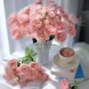 Mayra s Bridal Rose plant丨Flower Gardens