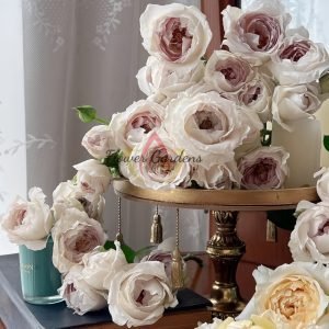 Milk pearl Rose丨Flower Gardens