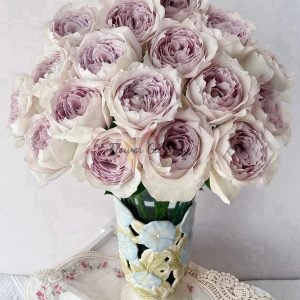 Milky Pearl Rose plant丨Flower Gardens