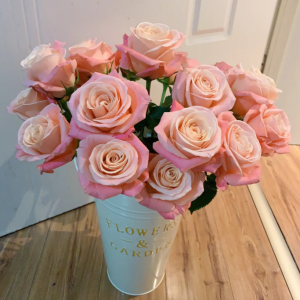 Miss Piggy Rose丨Flower Gardens