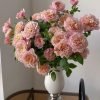 Miyabi Rose丨Flower Gardens