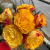 Newsflash Rose丨Flower Gardens