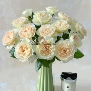 Opera queen Rose plant丨Flower Gardens