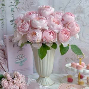Peony Pink Rose丨Flower Gardens