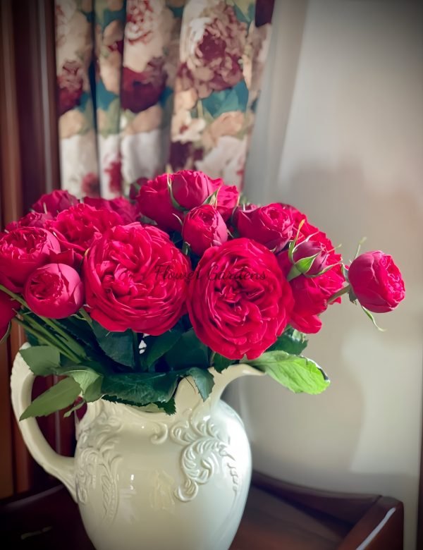 Piano Rose丨Flower Gardens