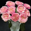 Pink Fragrance Rose丨Flower Gardens