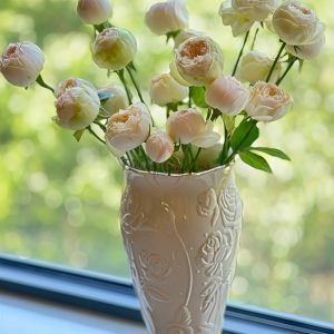 Pinky Pie Rose plant丨Flower Gardens