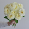 Royal Park Rose丨Flower Gardens