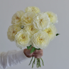 Royal Park Rose丨Flower Gardens