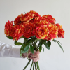 Tropical Sunset Rose丨Flower Gardens