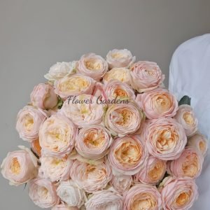 VIP New SPS Rose丨Flower Gardens