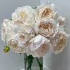 Yue long sha5 Yue long sha Rose for sale丨Flower Gardens