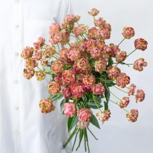 princess pinku Rose丨Flower Gardens