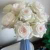 Candlelight Rose丨Flower Gardens