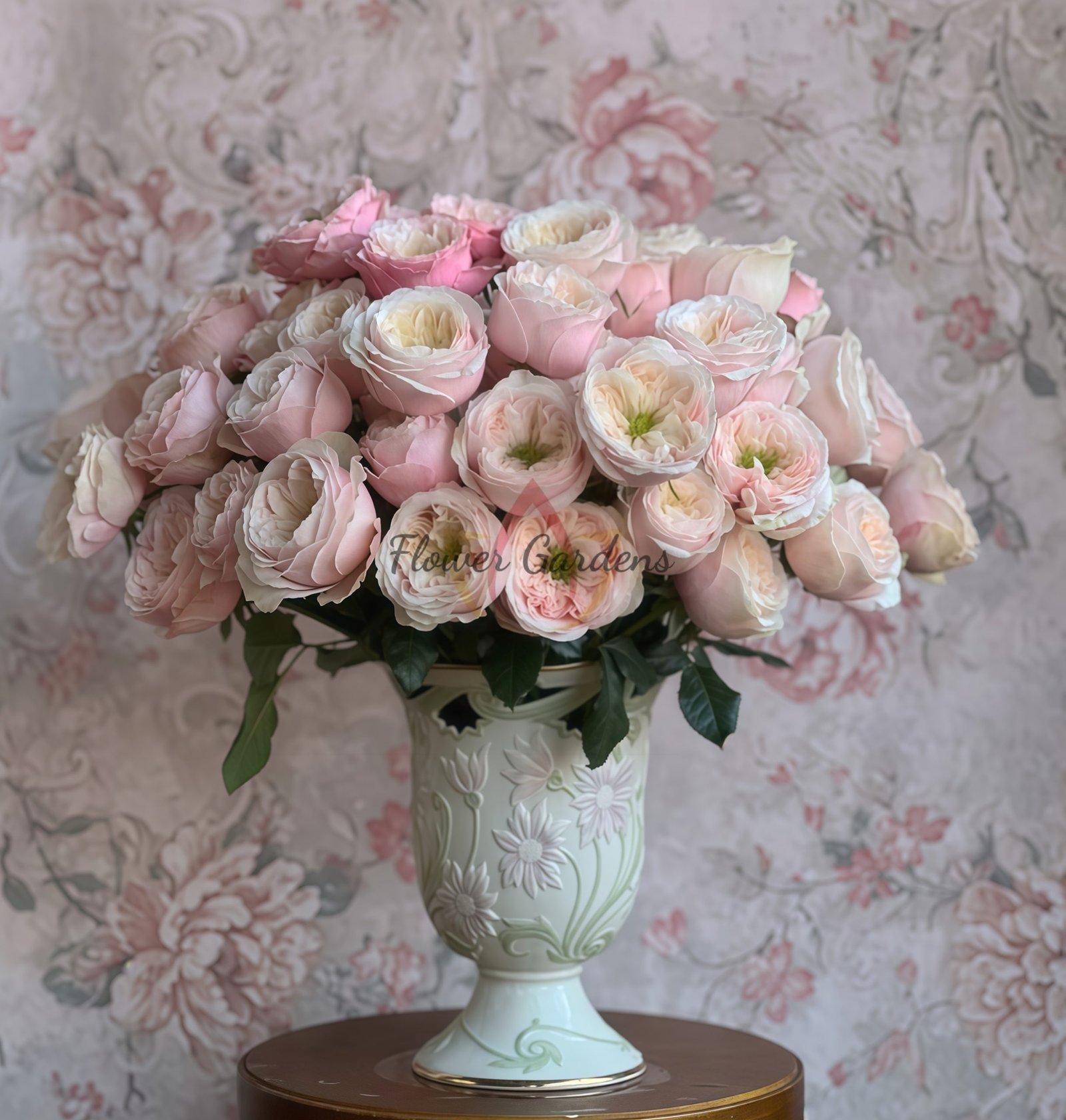 Darlington Rose丨Flower Gardens