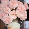 Fairytale Magic Rose for sale丨Flower Gardens