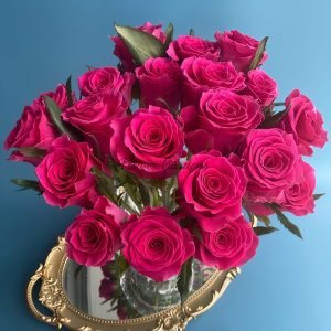 Gotcha Rose for sale丨Flower Gardens