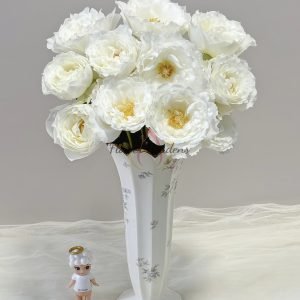 Le Blanc Rose plant丨Flower Gardens