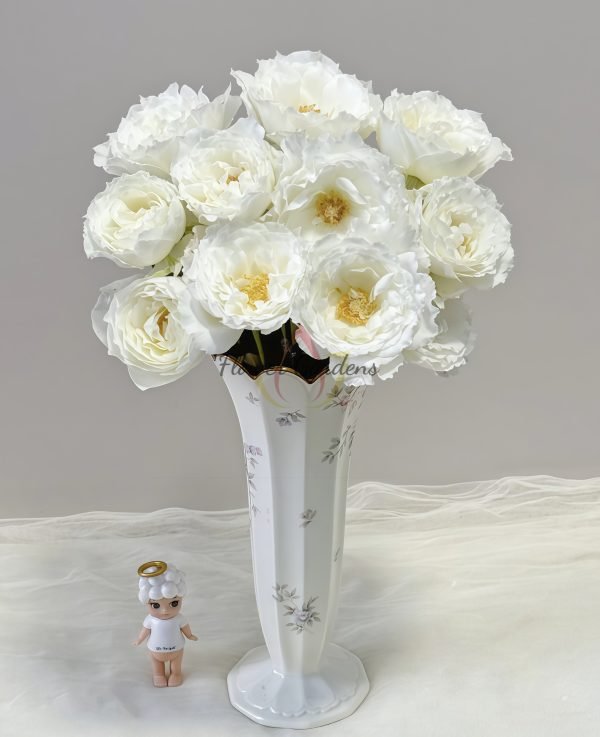 Le Blanc Rose plant丨Flower Gardens