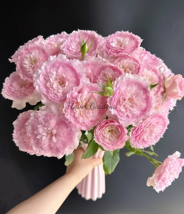 Rongrongyue Rose plant丨Flower Gardens