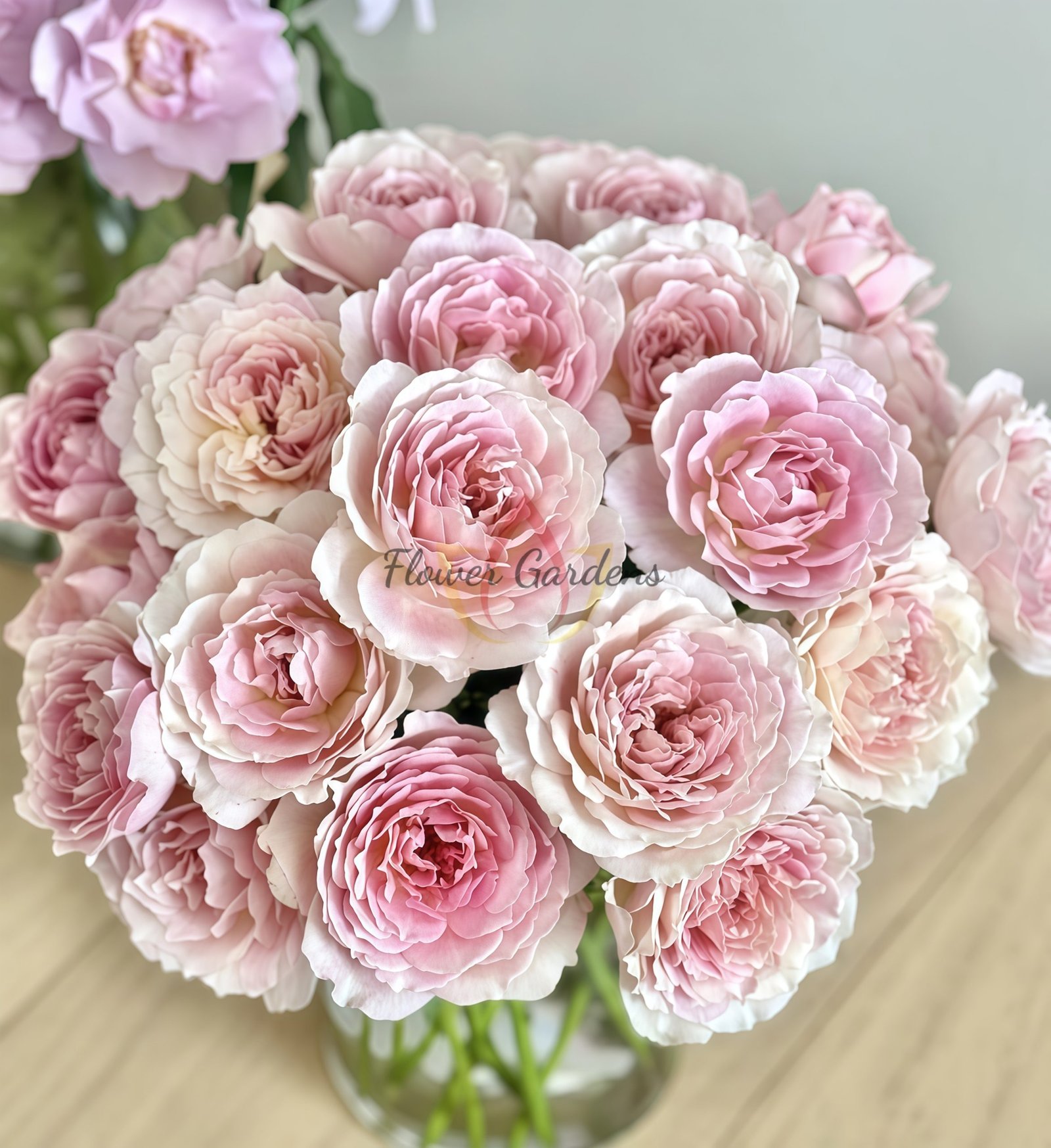 Sucre D'Art Rose丨Flower Gardens