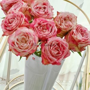 Very Cute Rose丨Flower Gardens