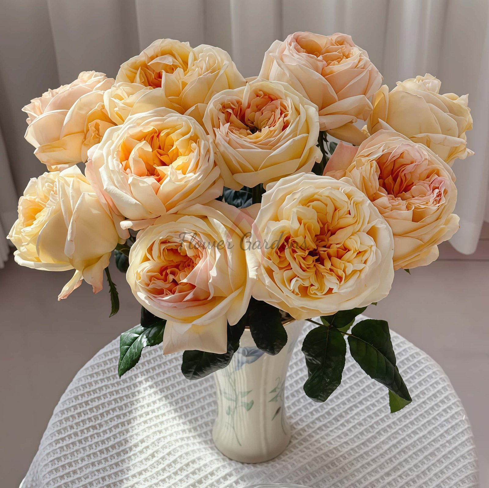 Cream X-Pression Rose plant丨Flower Gardens