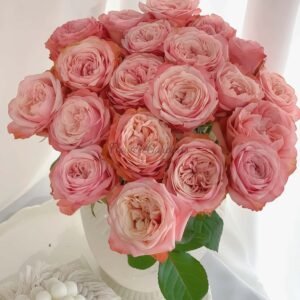 Kahala Rose丨Flower Gardens