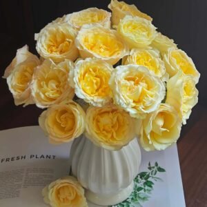 Liuxinsu Rose丨Flower Gardens