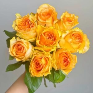 Mandarin x-pression Rose for sale丨Flower Gardens