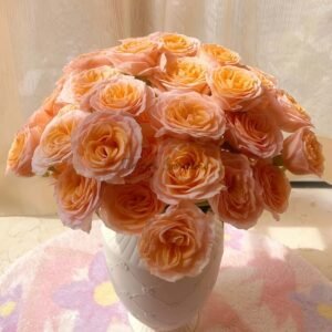 Mickey Bubbles Rose for sale丨Flower Gardens