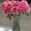 Peonikiss Rose for sale丨Flower Gardens