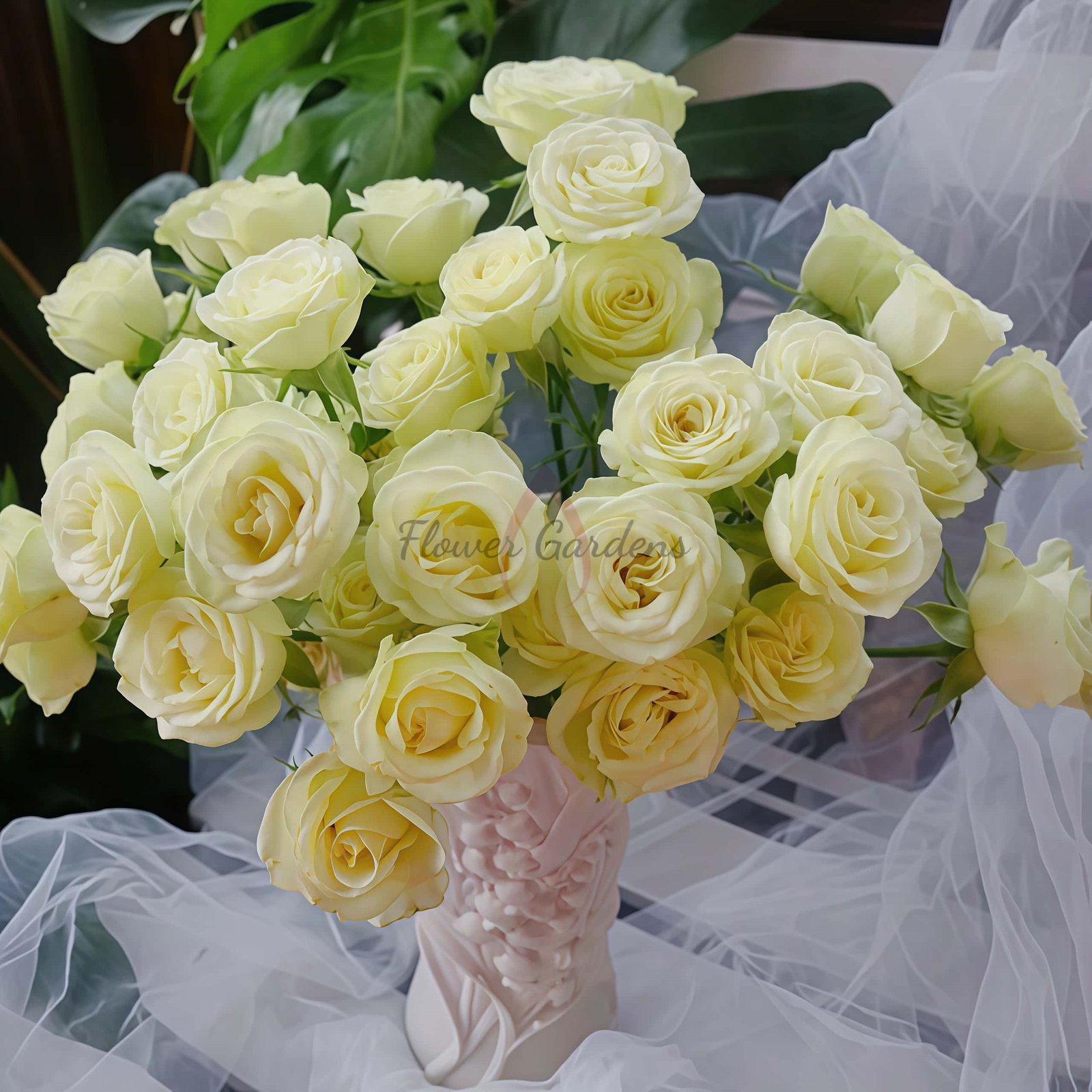 Wedding x-pression Rose for sale丨Flower Gardens
