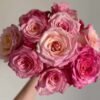 Xiaoxiang Rose for sale丨Flower Gardens