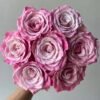 Ice Crown Princess Rose丨Flower Gardens