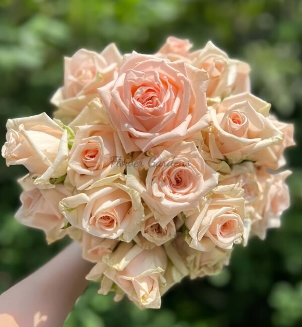 MAlsie+ Rose丨Flower Gardens