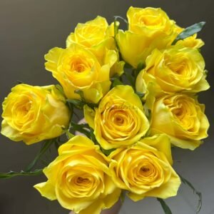 Moonwalk Rose丨Flower Gardens